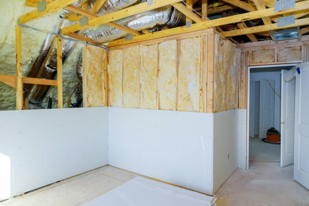 Best Soundproof Insulation Installation  in Fruitland Park, FL