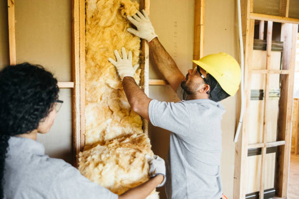 Best Attic Insulation Near Me  in Fruitland Park, FL