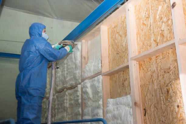 Best Insulation Contractors for Homes  in Fruitland Park, FL